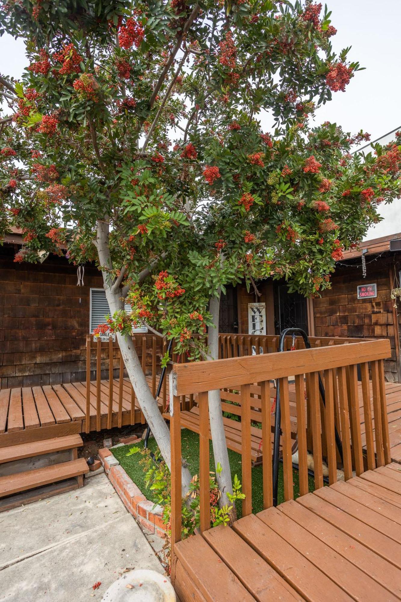 Big Studio With Ocean View Max 6 Sleepers San Diego Exterior photo